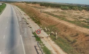 Tunezyjska droga ekspresowa