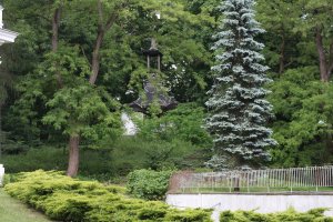 Ogród japoński Pałacu w Jabłonnie Fot. Sebastian Gawęda