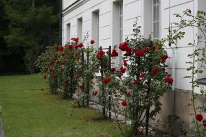 Pałac w Jabłonnie(1) Fot. Sebastian Gawęda