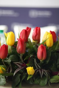 Jubileusz 80-lecia prof. Marcina Kuli (24 III 2023 r.). Fot. Sebastian Gawęda