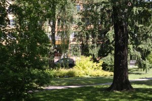 Lubelskie widoki